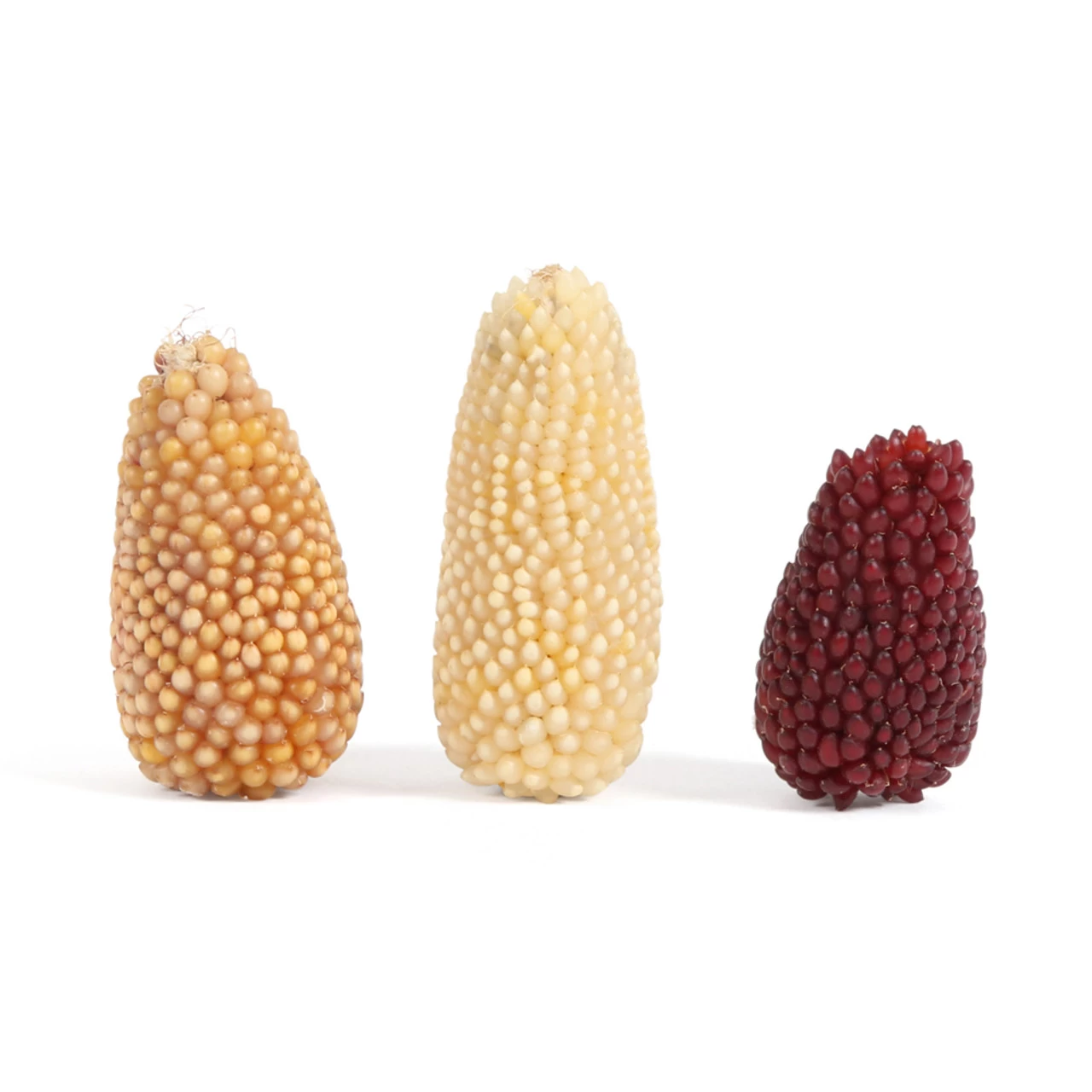 Brown's Mini Corn On The Cob - Image 2