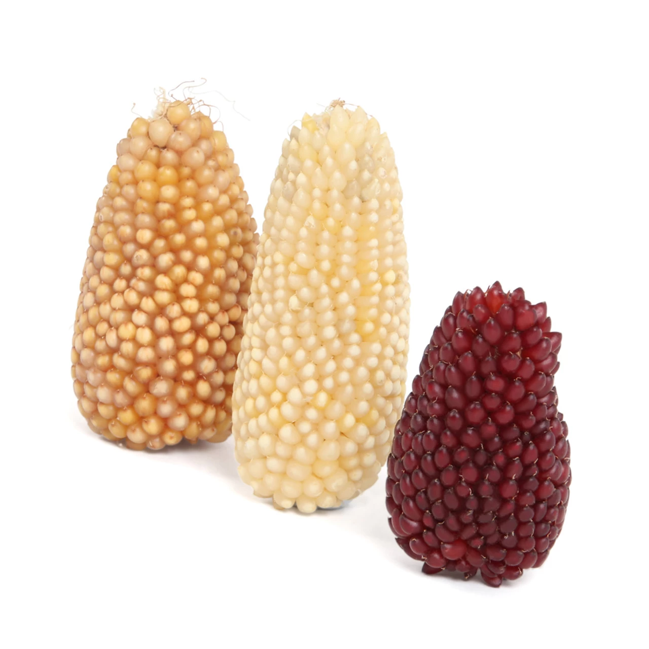 Brown's Mini Corn On The Cob - Image 3