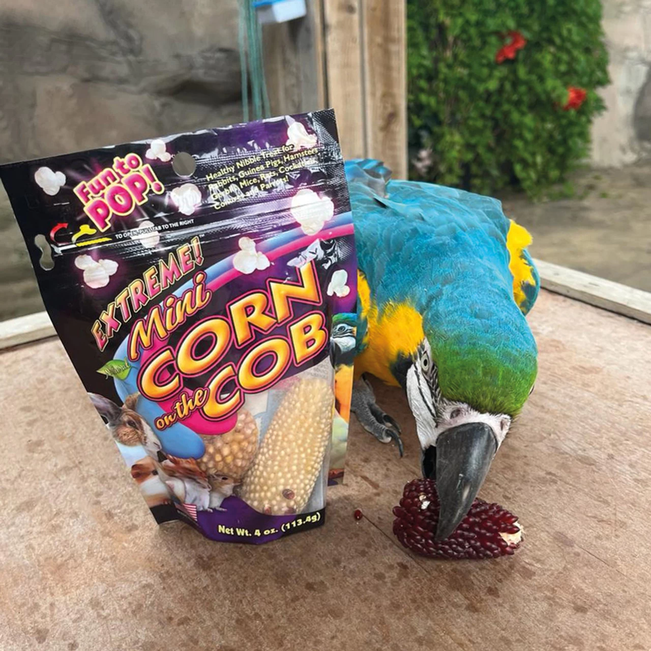 Brown's Mini Corn On The Cob - Image 4