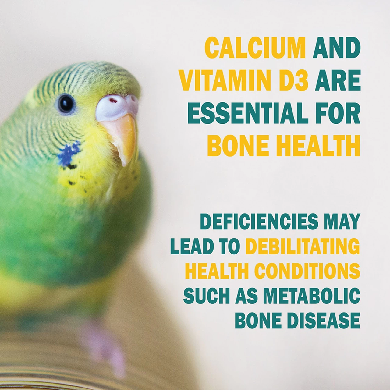 Zolcal D Liquid Calcium D3 Supplement 500ml - Image 5