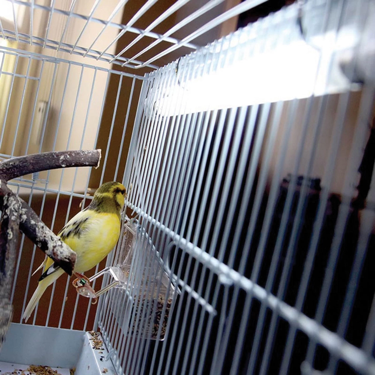 Arcadia Mini UVB Avian Light Kit For Small Birds - Image 5