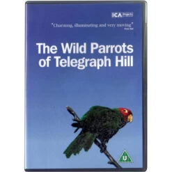 The Wild Parrots Of Telegraph Hill DVD