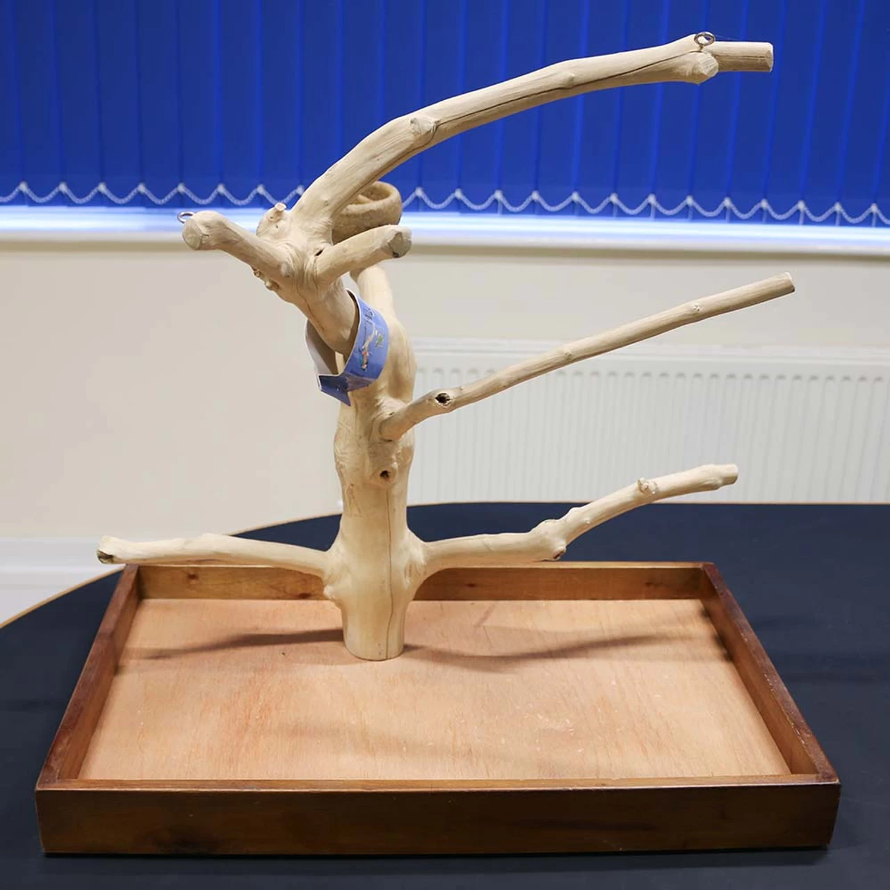 ***Collection Only***Java Tabletop Tree - Medium - Natural Hardwood Parrot Stand - Image 2